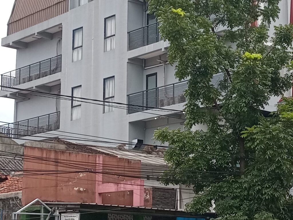 bahaya penyakit akibat serangan monyet