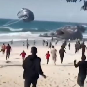 AS Kirim Bantuan ke Gaza Lewat Udara