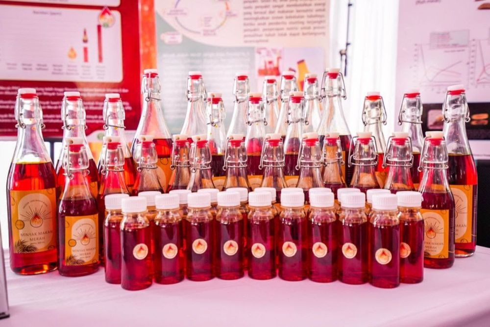 Kandungan Minyak Makan Merah
