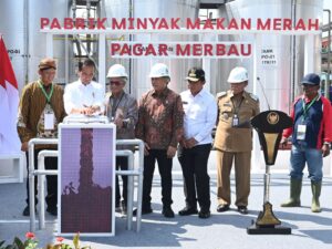 Kandungan Minyak Makan Merah