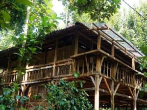 Kampung Buyut Cipageran