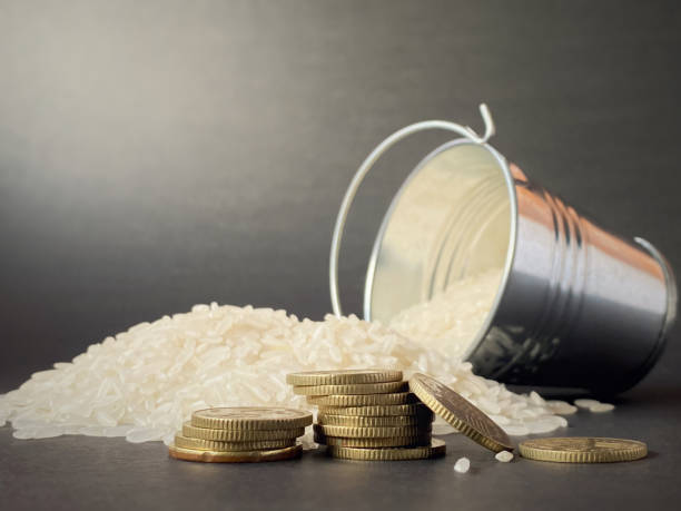 zakat fitrah kabupaten bekasi 2025