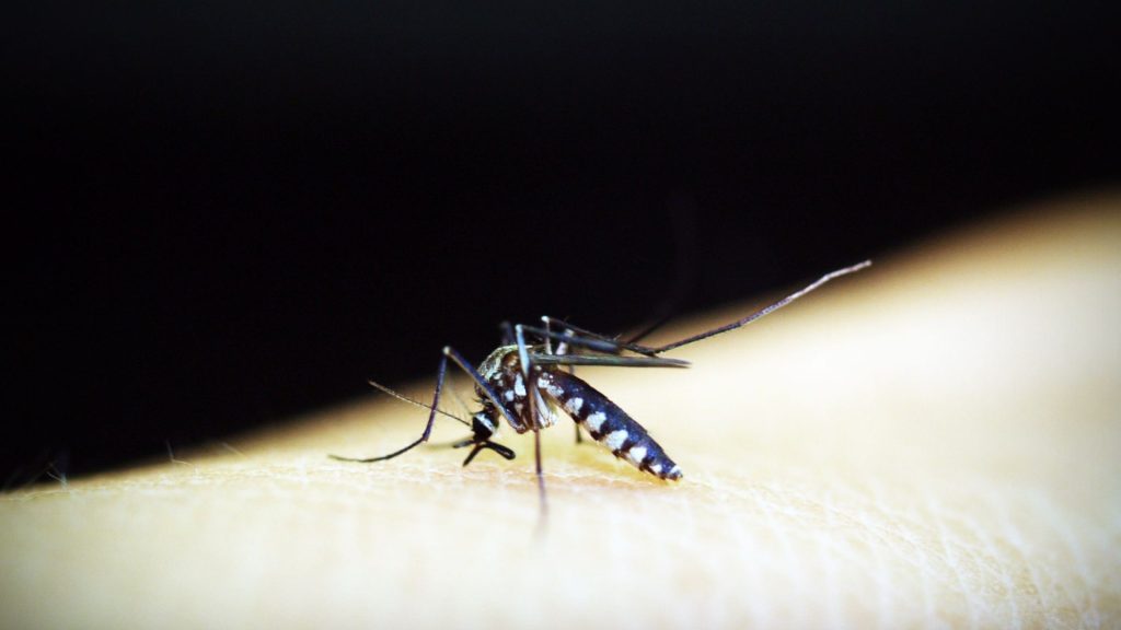 Hari Malaria Sedunia