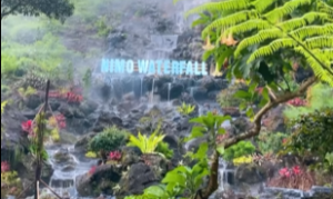 Nimo Jungle Hotspring Ciwidey