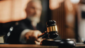 Fungsi amicus curiae