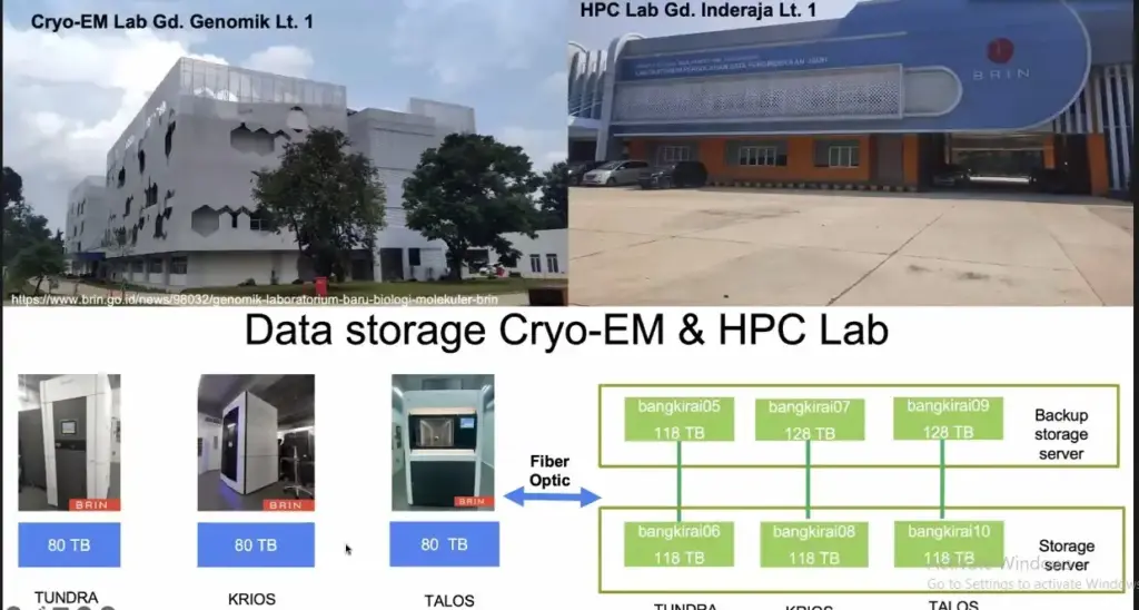 brin Cryo-EM Tomography