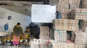 Harga Pangan