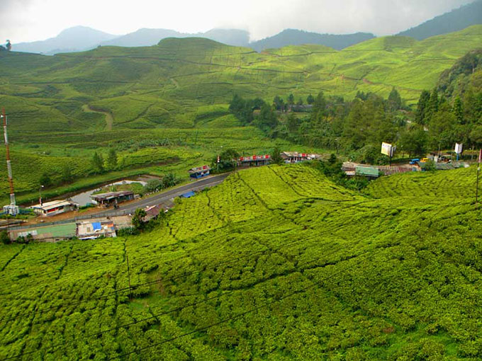 Hulu sungfai Ciliwung, puncak bogor