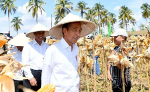 putusan MK Jokowi