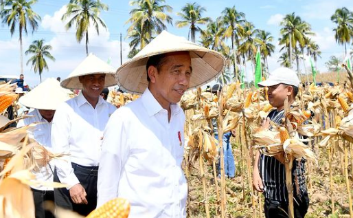 putusan MK Jokowi