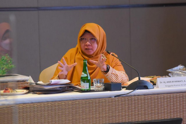 Komisi XI DPR Ungkap Pentingnya Stabilisasi Transisi