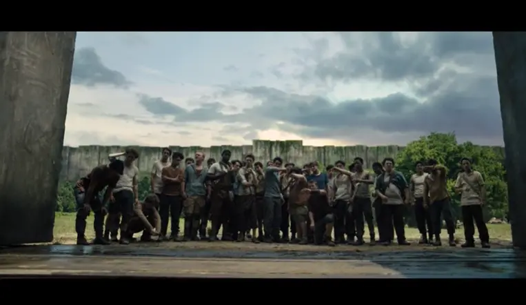 The Maze runner