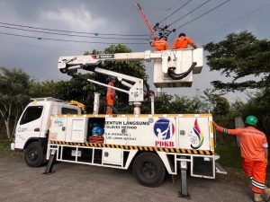 PLN