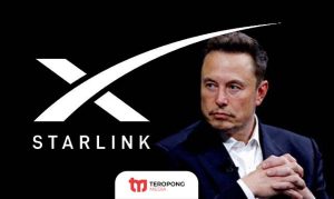 layanan investasi Starlink elon musk
