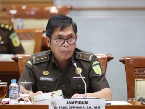 Fadil Zumhana