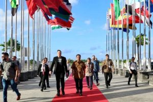 Elon Musk WWF Bali pabrik baterai