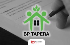 Tapera