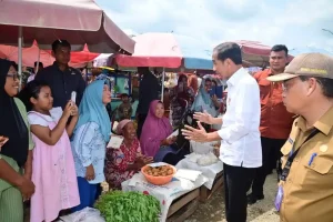 Jokowi melakukan pemeriksaan