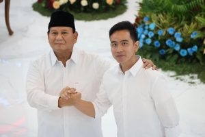Isu Struktur Kementrian kabinet prabowo