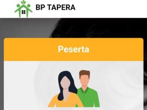 Tapera