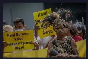 All Eyes on Papua-3