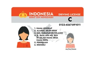 FORMAT BARU SIM