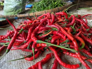 Harga Pangan
