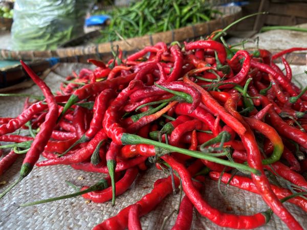 Harga Pangan