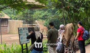 bandung zoo