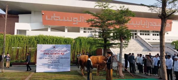 Jokowi Serahkan Sapi Simental di Semarang