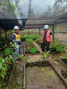 Kadis ESDM Malut Ikut Berpartisipasi Penanaman Pohon 
