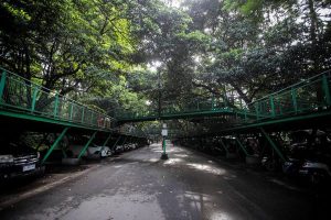 Sejarah Hutan Kota Babakan Siliwang