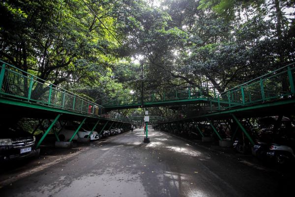 Sejarah Hutan Kota Babakan Siliwang