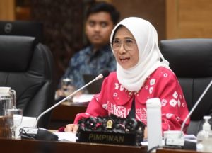 Naturalisasi Calvin Verdonk, Jens Raven, Wakil Ketua Komisi X DPR RI Hetifah Sjaifudian