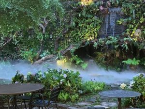 Woodyland Eatery Bandung