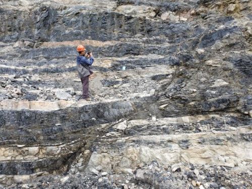 Harga Acuan untuk Batubara dan Mineral