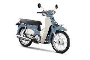 honda super cub 110 (2)