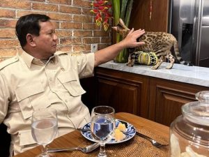 Mengirim bantuan ke Gaza