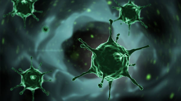 Virus Marburg