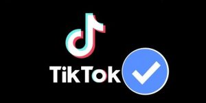 Centang Biru TikTok
