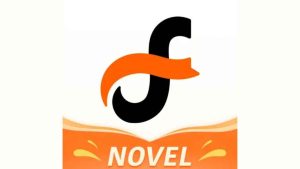 Fizzo Novel