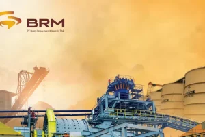 BRMS