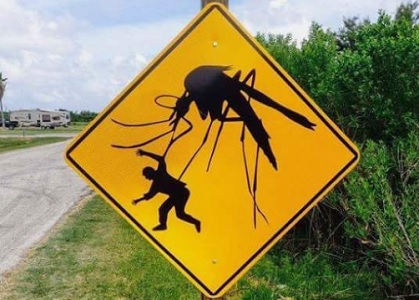 Virus West Nile Israel