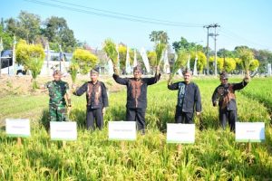 Wakil Menteri Pertanian Sudaryono