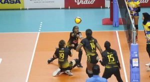 14 Pemain P SEA V League