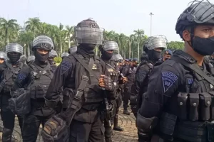 demo bem si