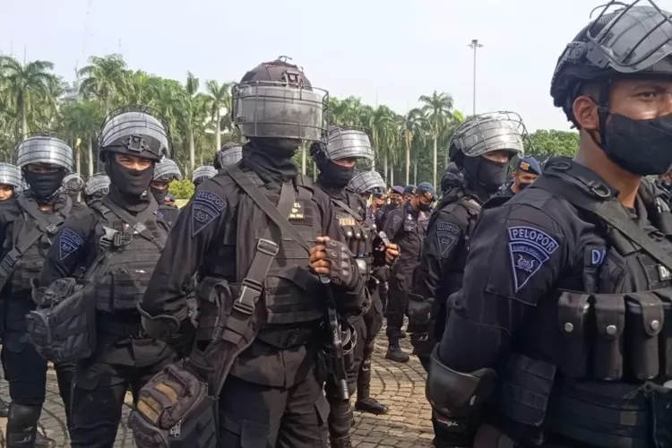 demo bem si