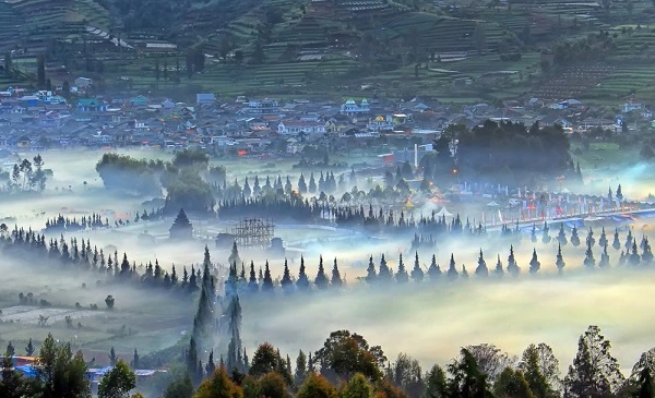 Embun Upas bromo dieng
