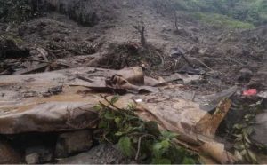 Tujuh Warga Meninggal Dunia Terdampak Longsor Mimika