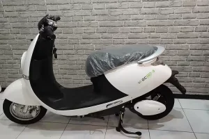 motor listrik ecgo